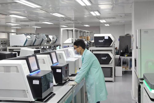 清明節(jié)放假安排來啦 新冠病毒疫苗即將進(jìn)入動物攻毒保護(hù)試驗(yàn)