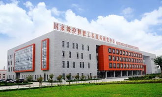 利辛農民,土壤可以通過修復,實現作物高產,金正大國際富朗產品將在利辛,開啟親土種植新時代