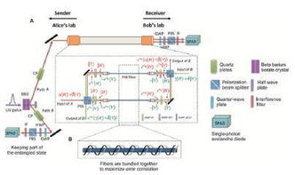 2016年中國(guó)重大科學(xué) 技術(shù)和工程進(jìn)展 技術(shù)篇